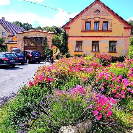 Apartmany Kosov 1 Bor Dış mekan fotoğraf